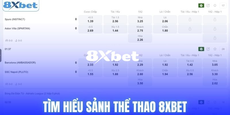Thể Thao 8XBET - Nơi Hội Tụ Đam Mê Cá Cược Thể Thao Hấp Dẫn 1 Tổng quan về sảnh cược thể thao 8XBET